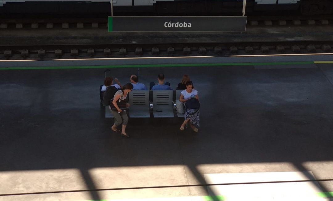 Viajeros en la Estación Córdoba Central