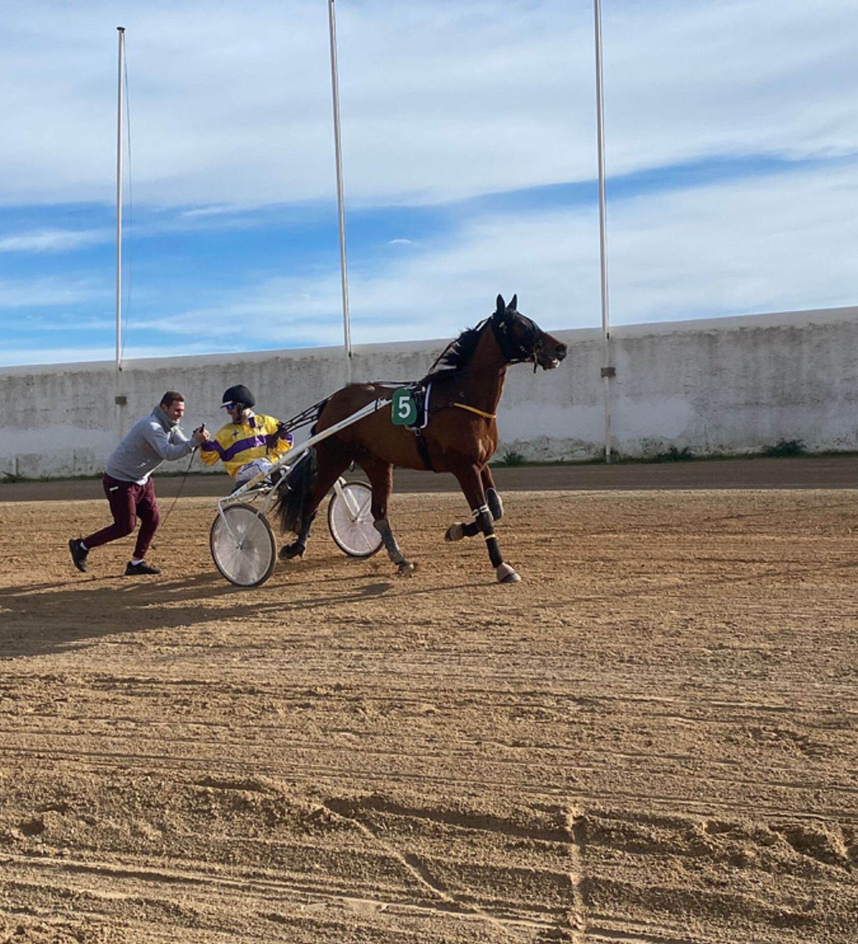 &#039;Errol Flyn&#039; sigue brillando en sus carreras