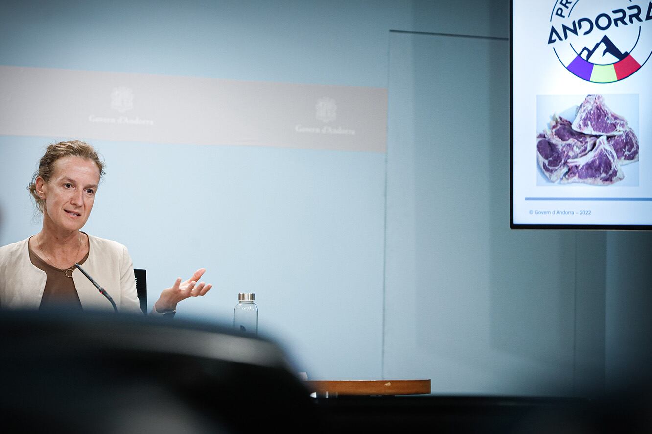 Roda de premsa posterior al consell de ministres.Foto:SFGA/CEsteve