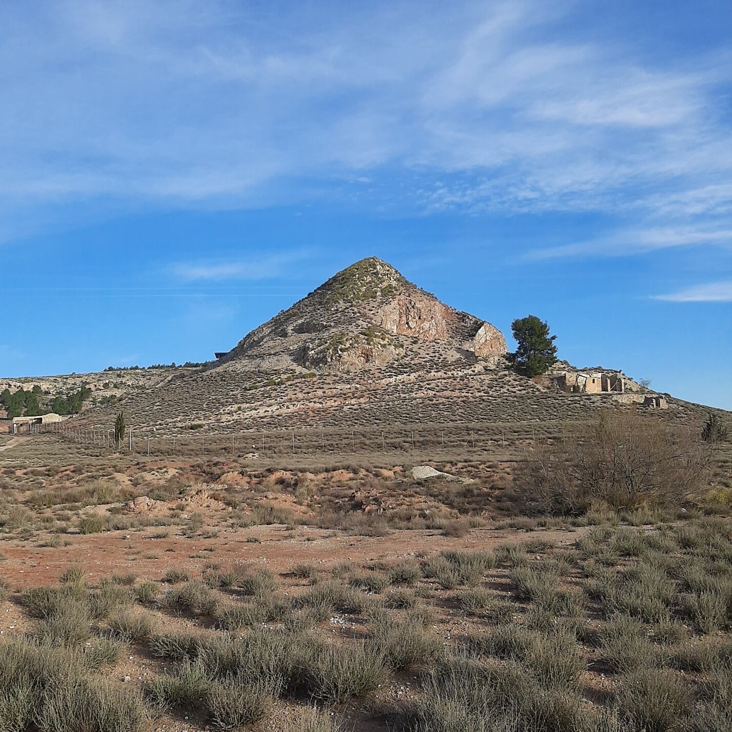 Cabezo Redondo. Villena