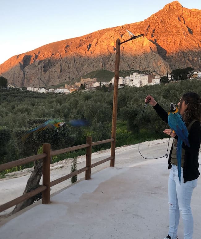 Mari Carmen Herrera durante algunos ejercicios con loros