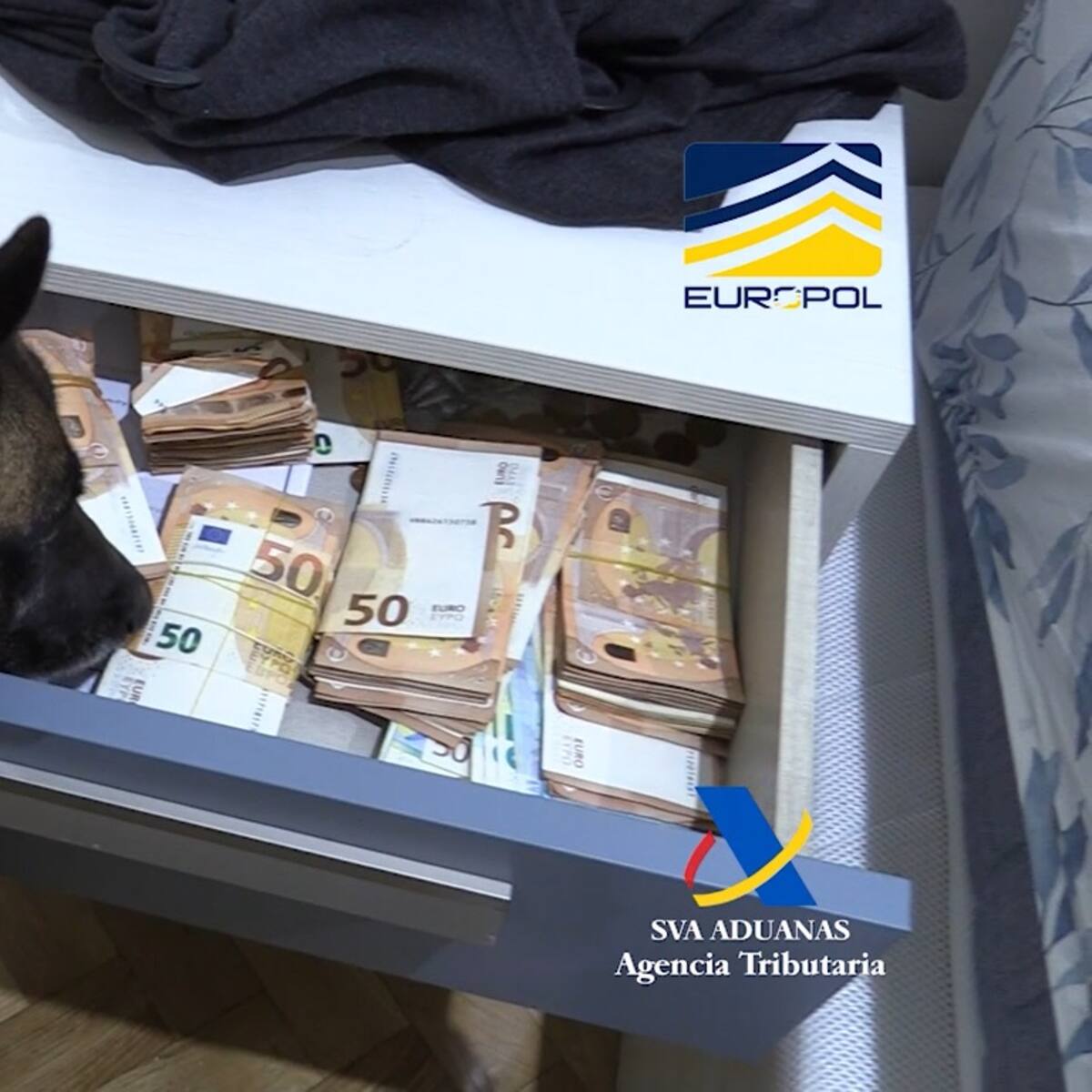 La cárcel de Campos del Río contará con unidad canina para prevenir la introducción y consumo de droga en prisión