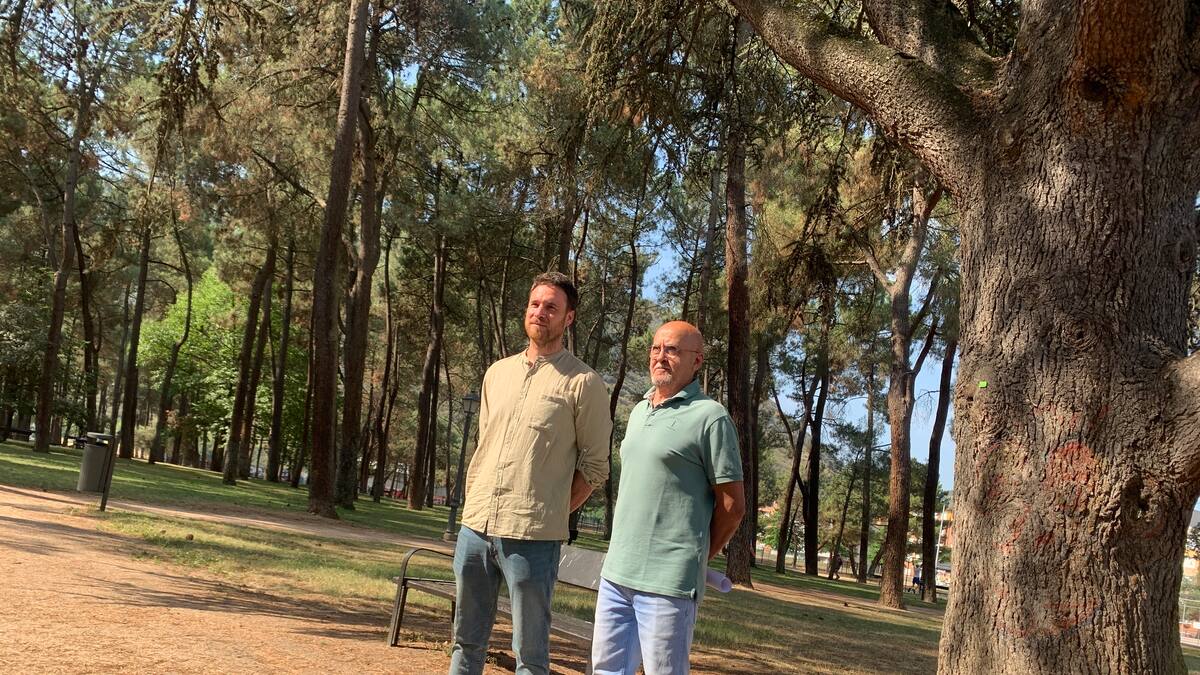 Un informe de evaluación del arbolado del parque del Temple obliga al ayuntamiento a talar 25 ejemplares en riesgo de caerse