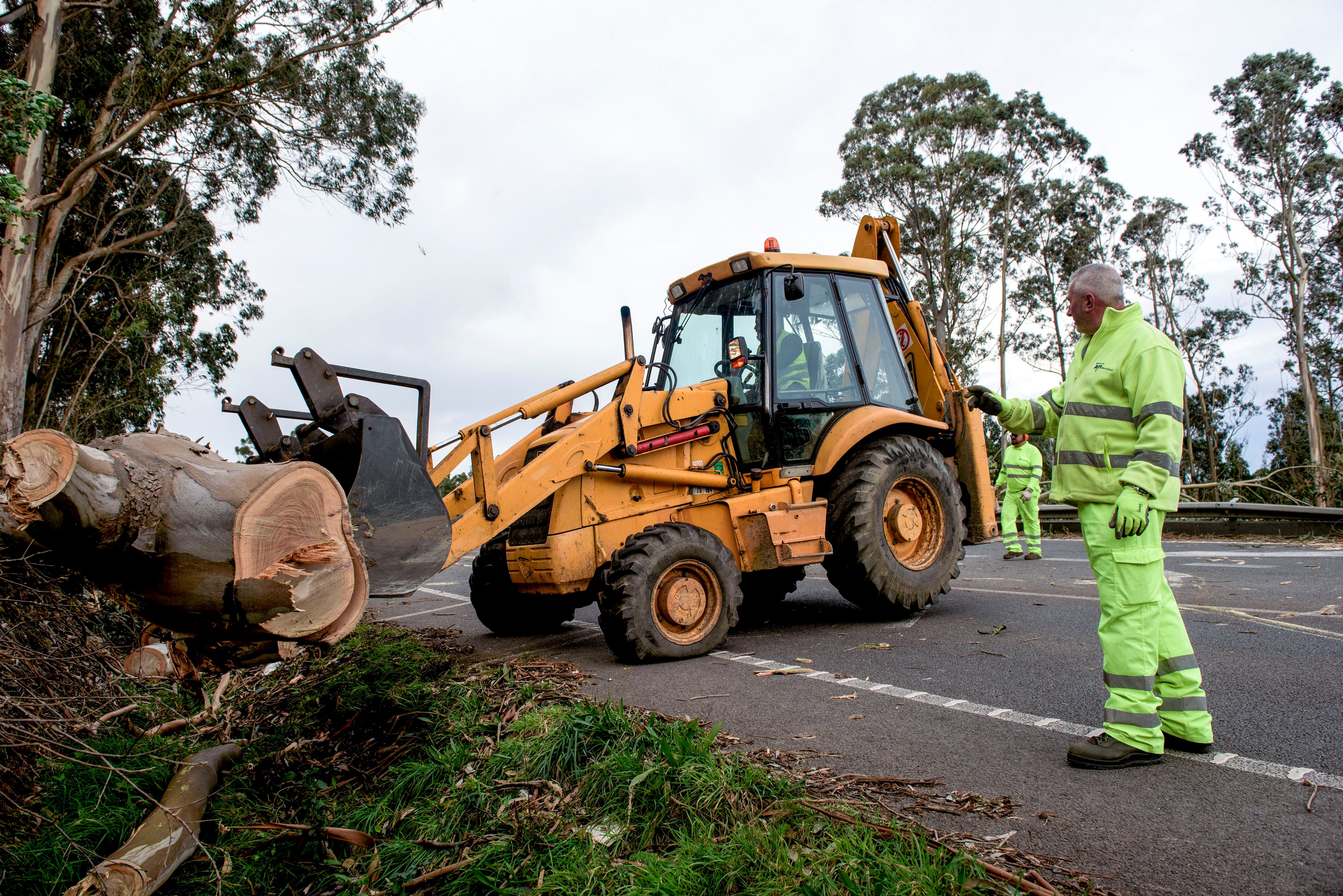 CERVO (LUGO), 08/02/2024.- La carretera N-642 ha permanecido con cortes en la circulación debido a la caída de árboles por las fuertes rachas de viento ocasionadas por la borrasca Karlotta este jueves, a la altura de Gondrás, en el municipio lucense de Cervo. EFE/ Emilio Pérez