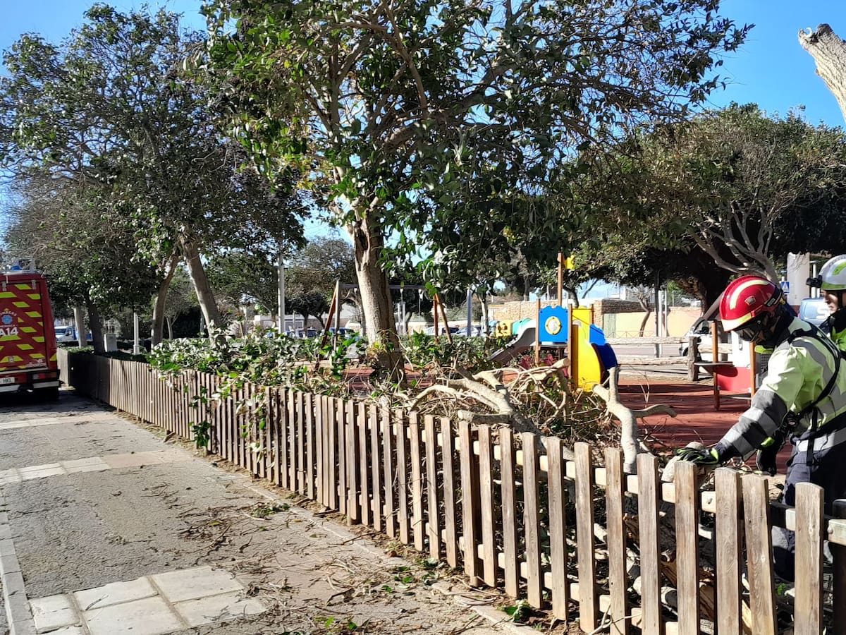 La borrasca 'Nils' deixa arbres caiguts i despreniments d'elements urbans a Menorca