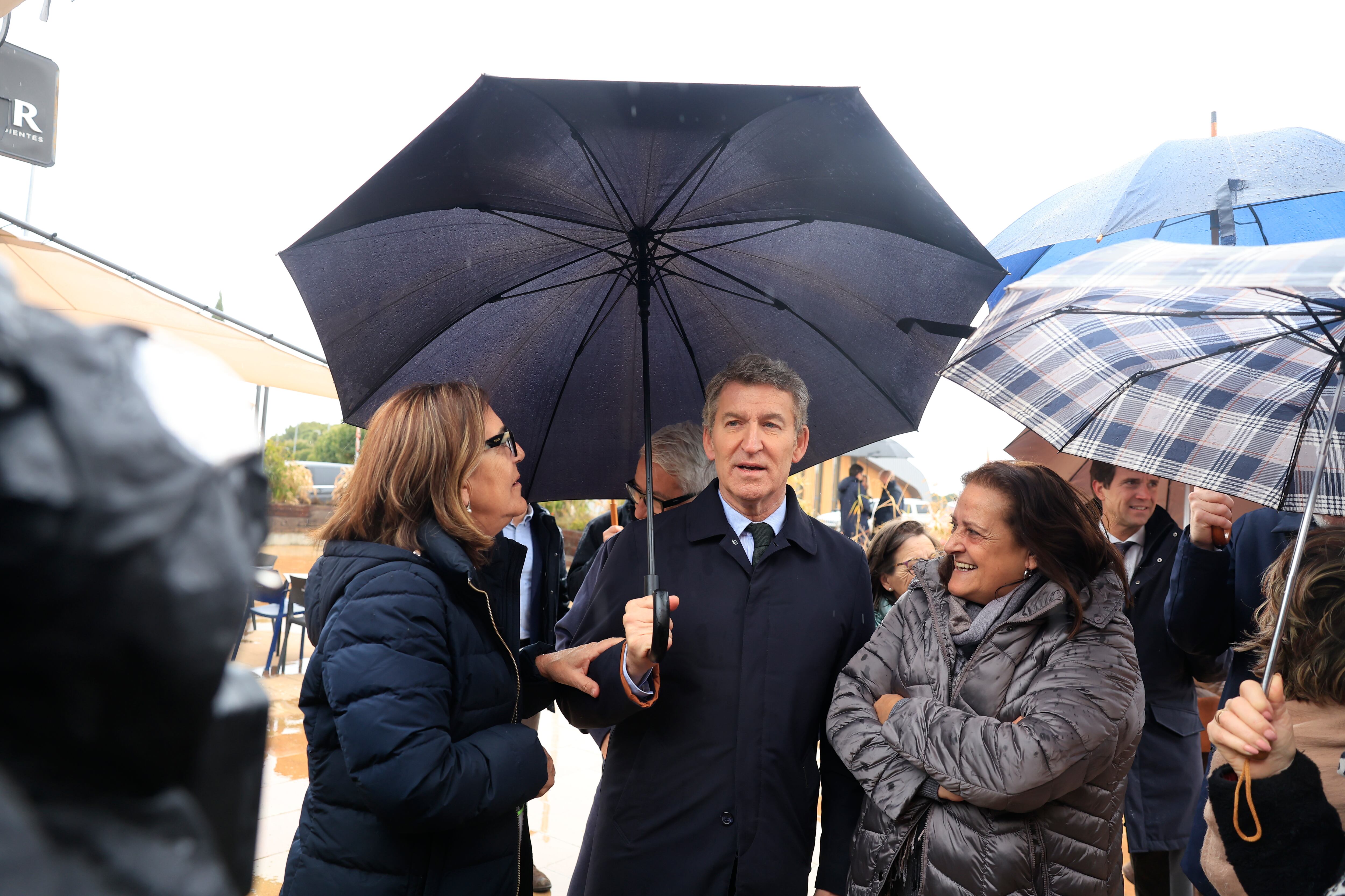 El presidente del Partido Popular, Alberto Núñez Feijóo.