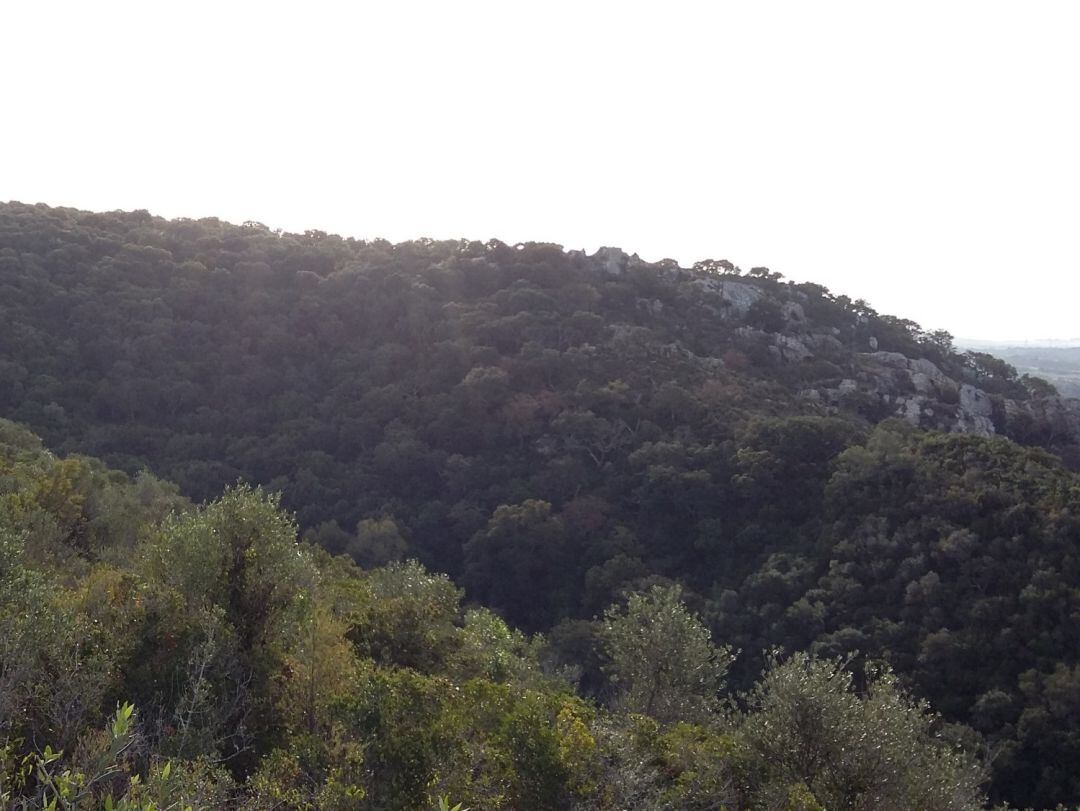 Monte La Alcaidesa, en una imagen de archivo.