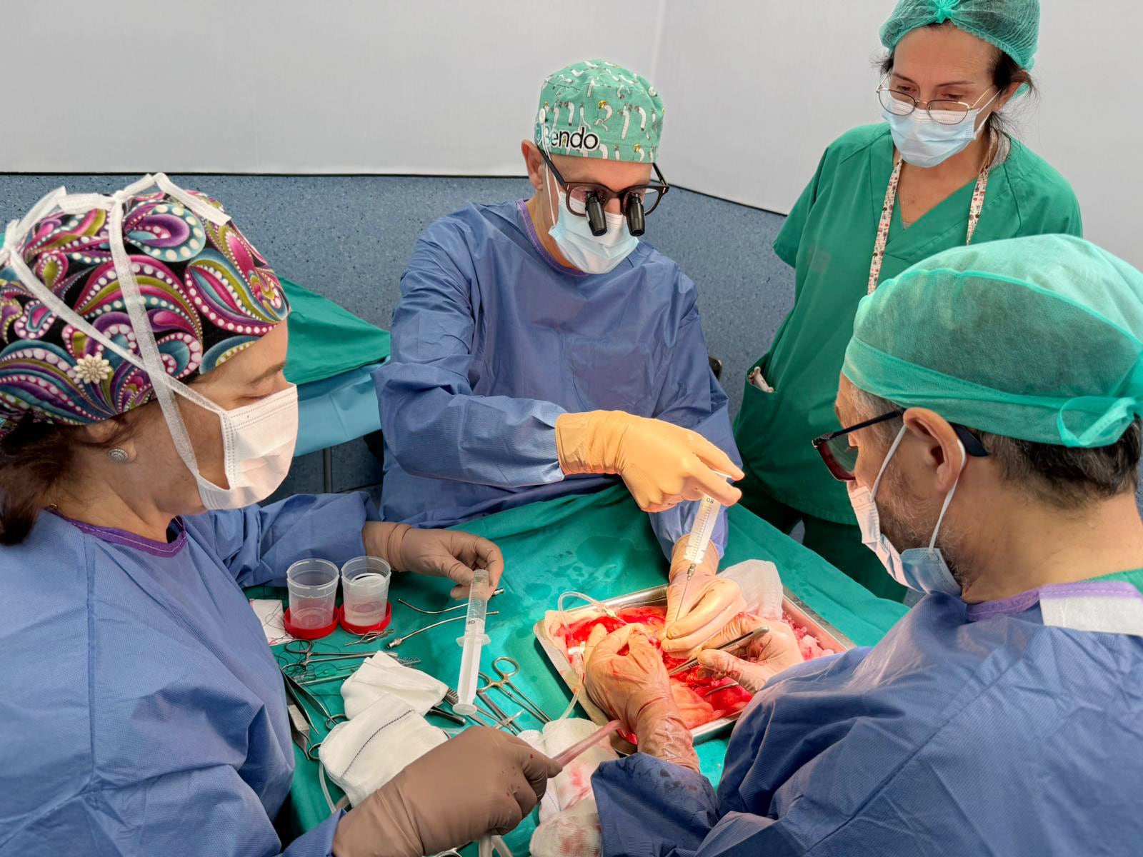 Una donación altruista en el Hospital Doctor Peset inicia una cadena de trasplantes de riñón en España.