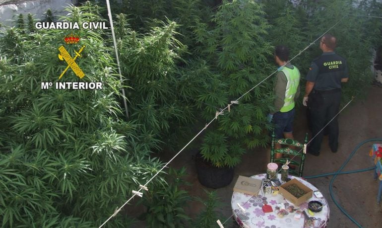 La Guardia Civil ha intervenido 91 kilos de marihuana en las localidades de Martos y Puente de Génave