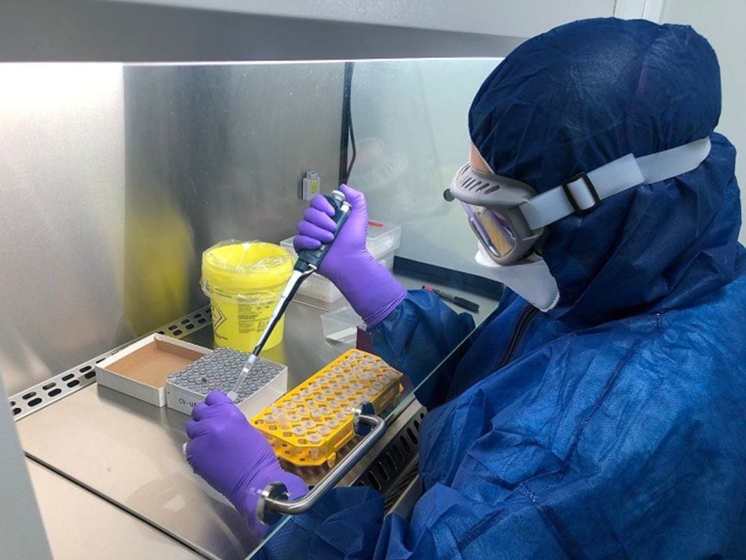 Personal analitzant mostres de laboratori.