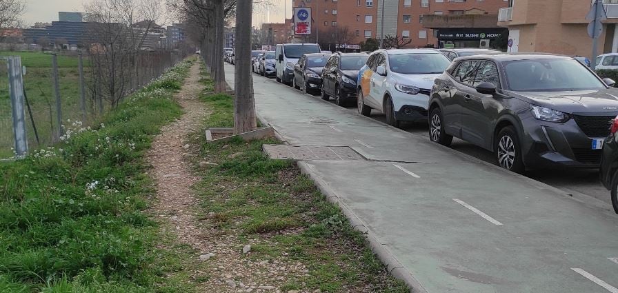 Acera, carril bici Avenida de Los Danzantes