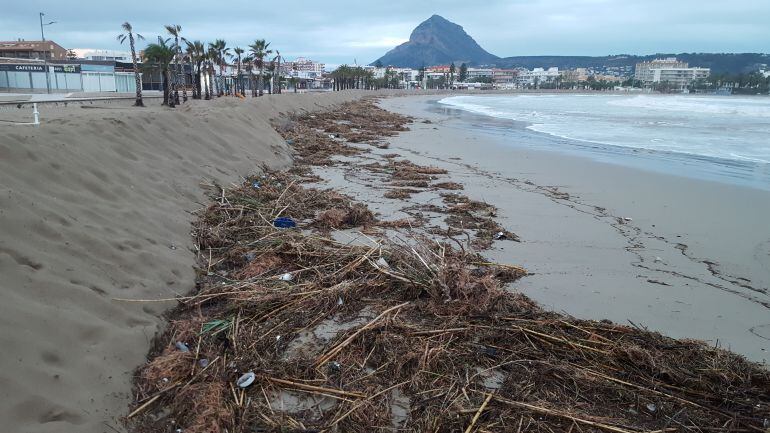 Cañas depositadas,en la playa del Arenal, tras el temporal de lluvia, fenónemos costeros y veinto que azotó Xàbia.