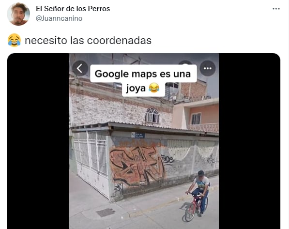 El tuit viral en redes con la inesperada escena en Google Maps