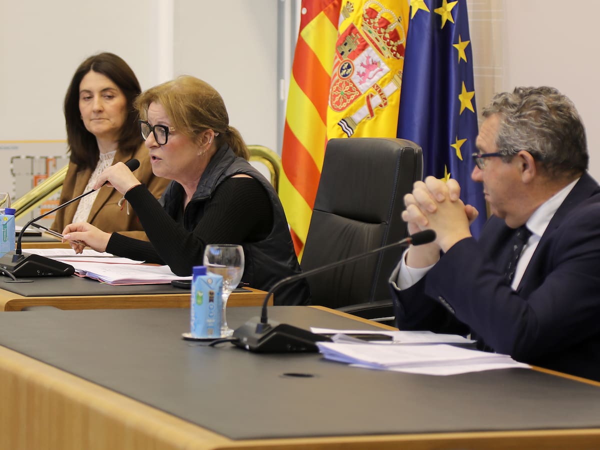 Ana Serna, vicepresidenta de la Diputación de Alicante, dice que la propia comisión de investigación del Bono Comercio decidirá quién comparece