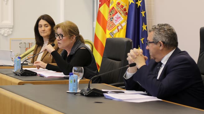 Ana Serna, vicepresidenta de la Diputación de Alicante, dice que la propia comisión de investigación del Bono Comercio decidirá quién comparece