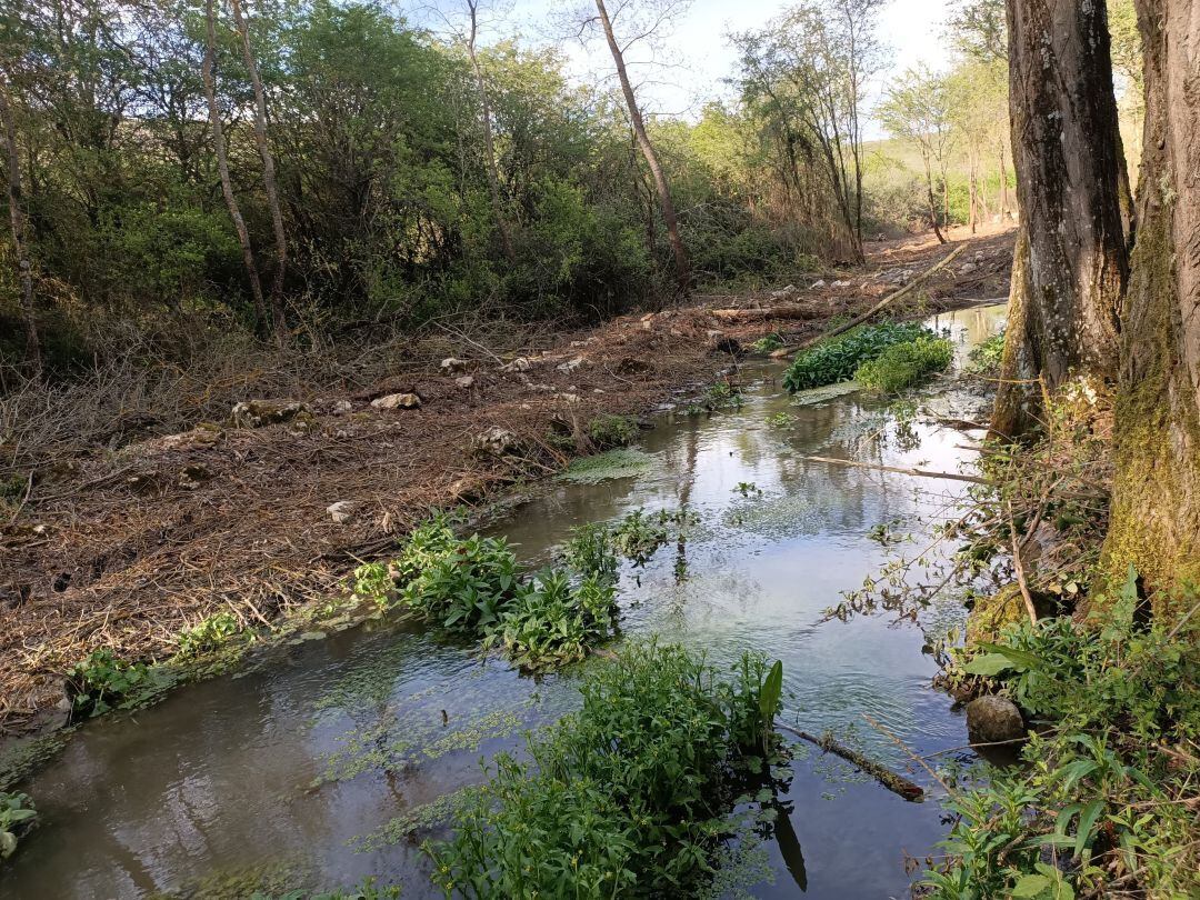 Río Bajoz a su paso por Castromonte