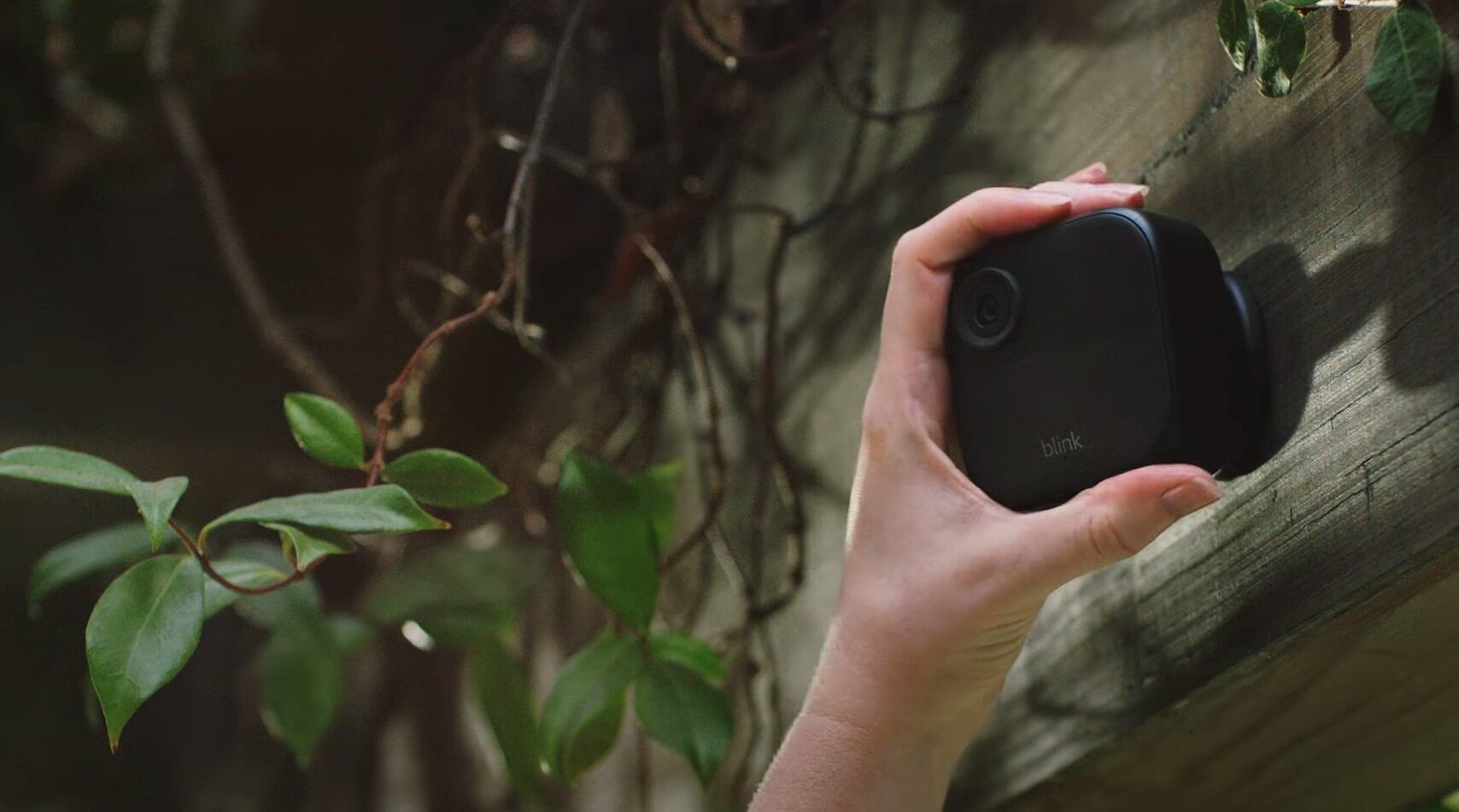 La cámara de Blink instalada en el exterior.