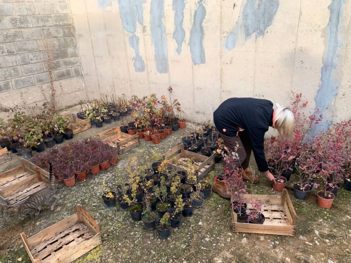 La Diputación de Palencia y el ITAGRA promueven un curso centrado en los frutos rojos