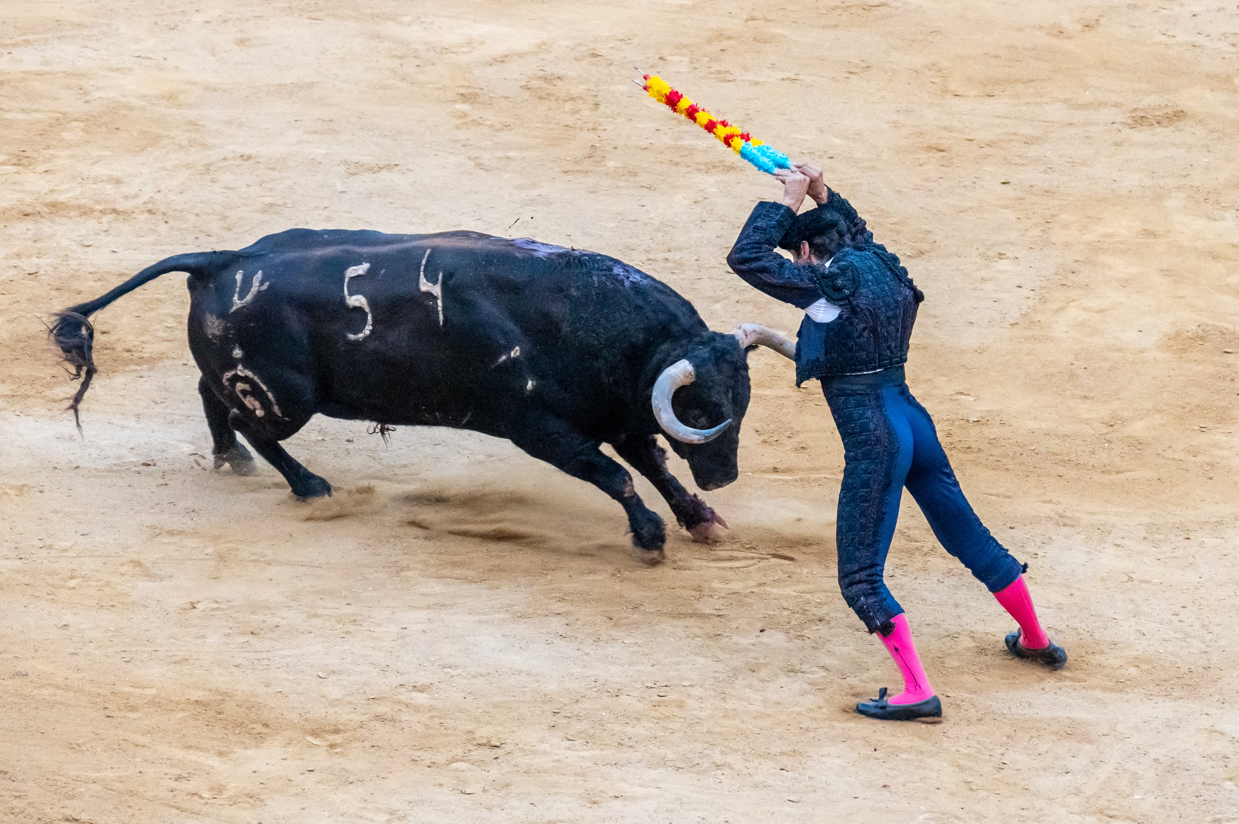 Imagen de archivo de una corrida de toros en Valencia en julio de 2022