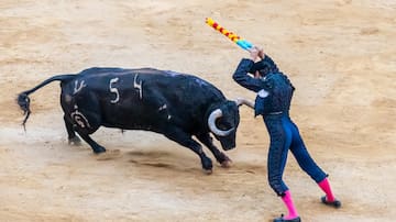 La Federación de Peñas Taurinas de la Comunitat Valenciana estudia acciones legales contra el ministro de cultura si se elimina el Premio Nacional de Tauromaquia