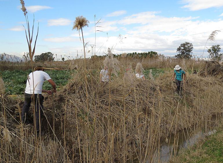 Agricultores