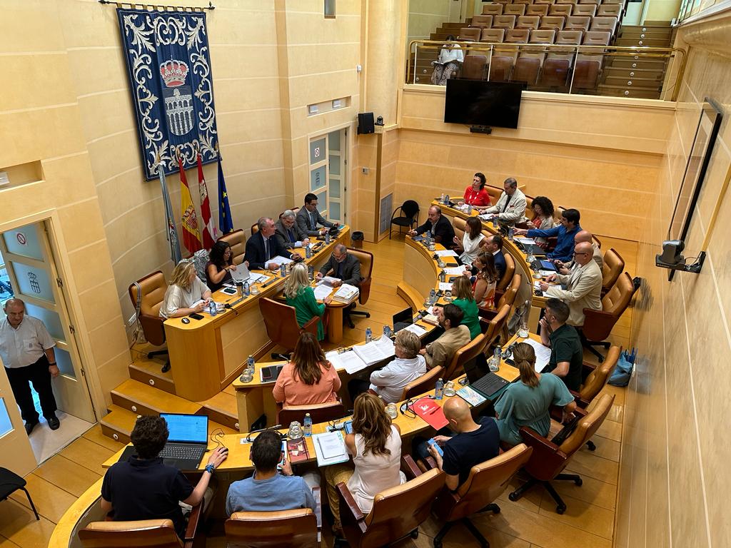 Pleno julio ayto Segovia