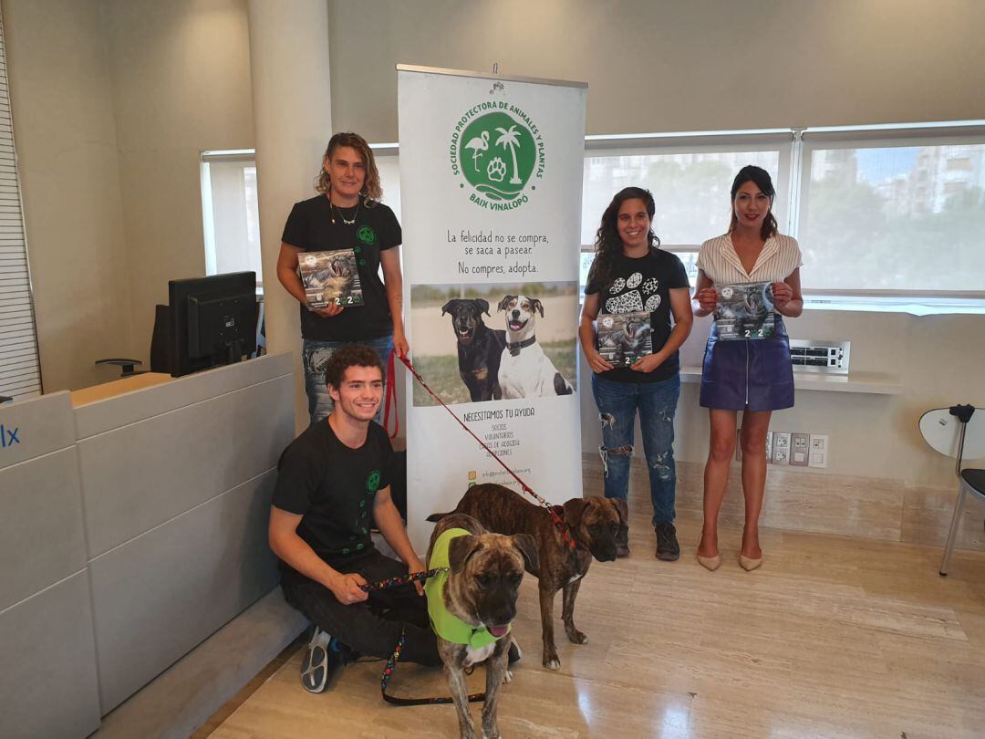 Protectora Baix Vinalopó