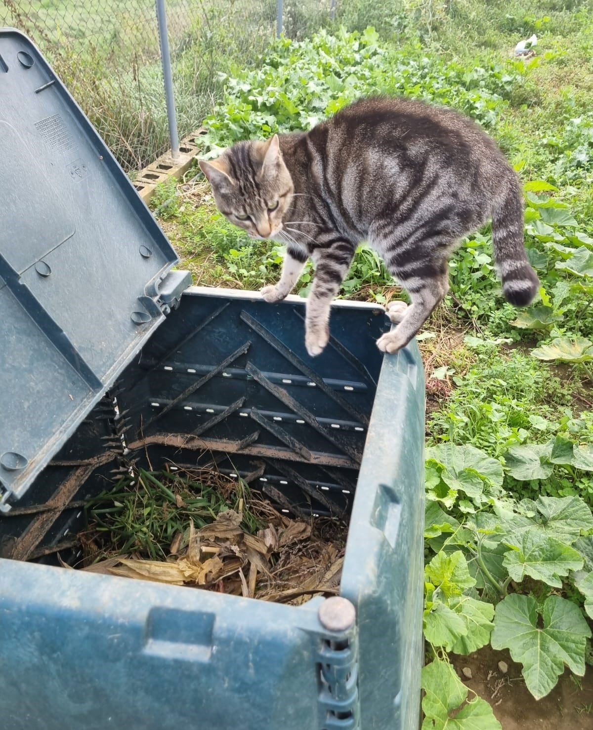 La campaña  “Transforma y Retorna” mantendrá el acompañamiento hasta julio 2025. Foto: Comarca de Somontano