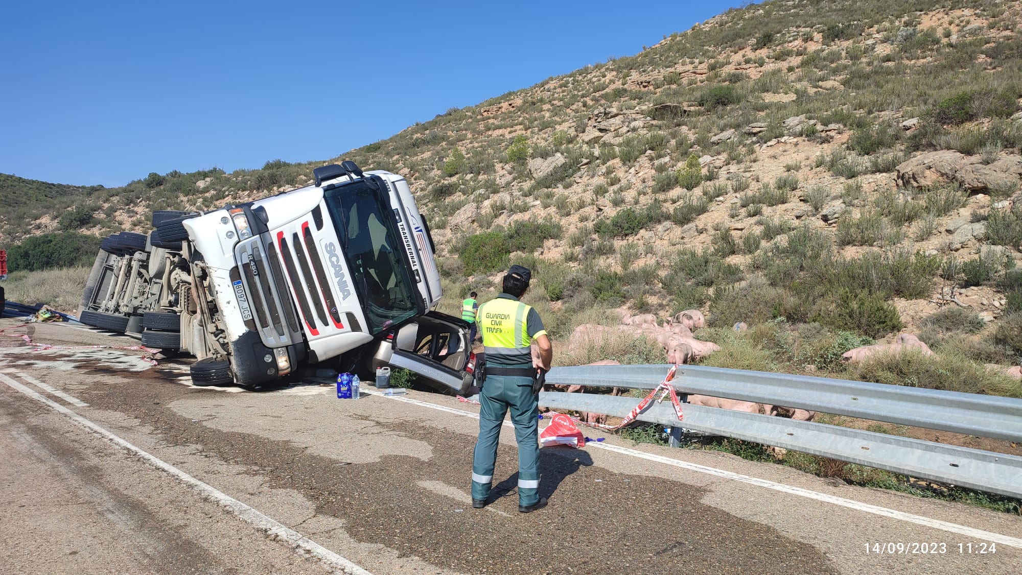 Un fallecido y tres heridos graves al volcar un camión de cerdos sobre un turismo en Mequinenza (Zaragoza)