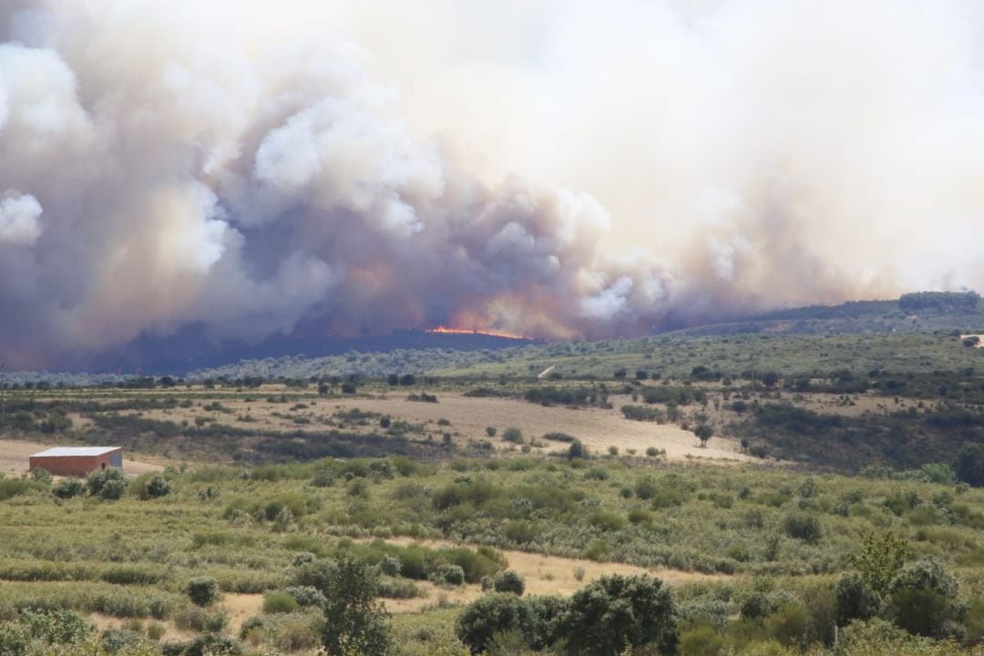 Extenso frente en el incendio de Gallegos del Río