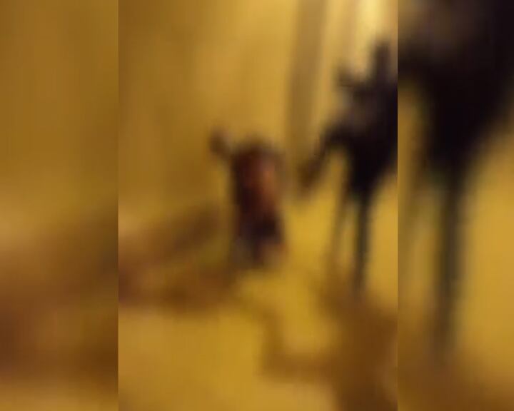 Captura del vídeo de la agresión que se ha difundido en redes sociales