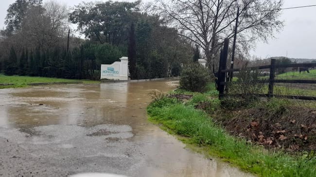 Lluvias caídas en Tesorillo