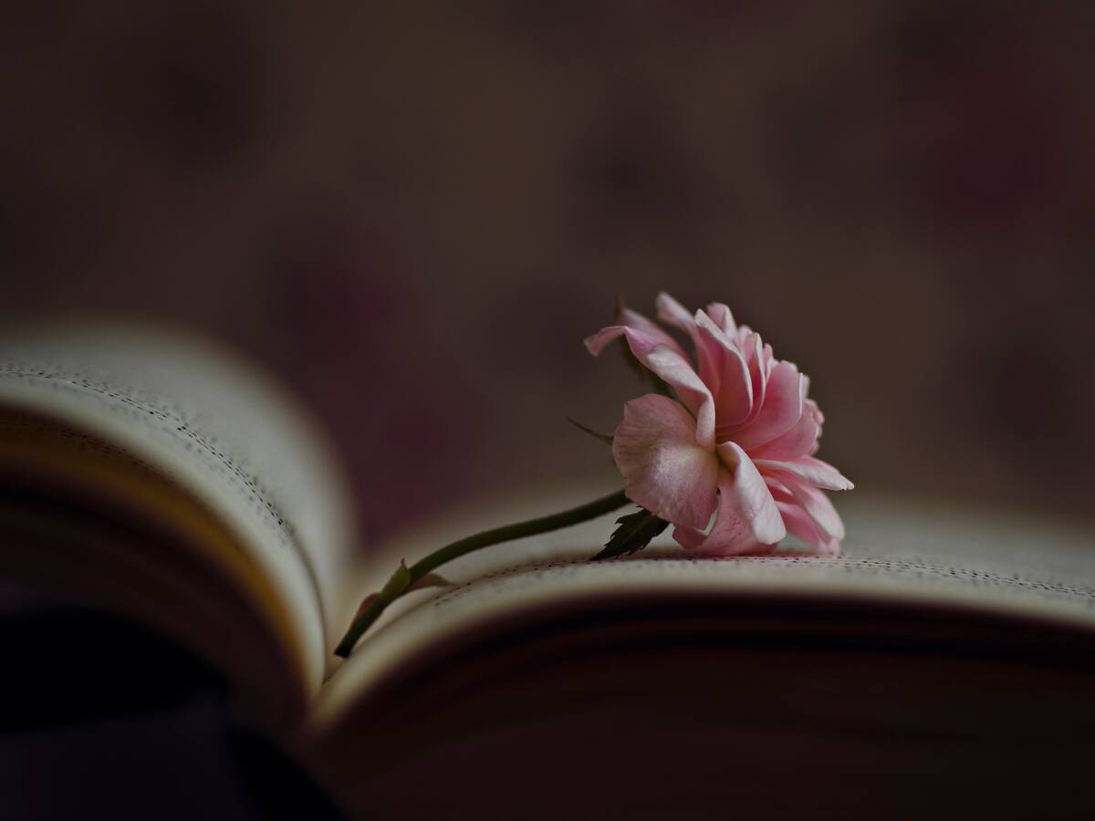 Laura Gámez Robles presenta su primer poemario