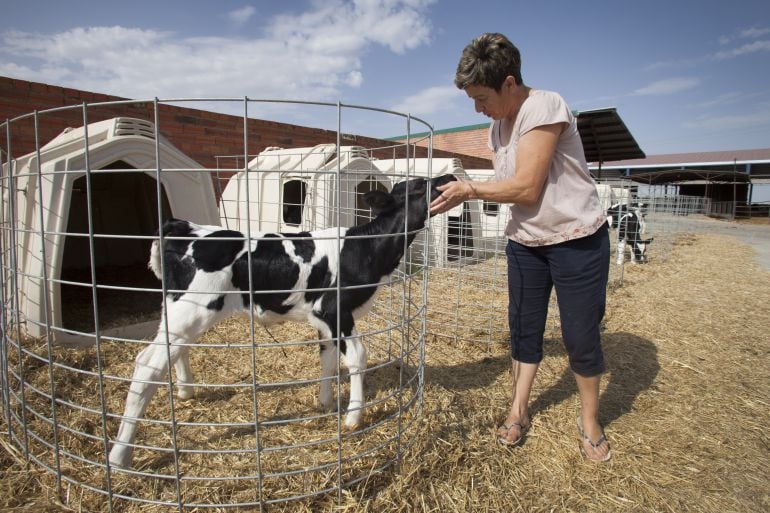 Ganadera de leche