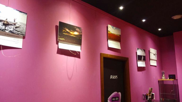 La exposición puede verse en el bar Mokalia, junto a la Plaza Mayor de Palencia