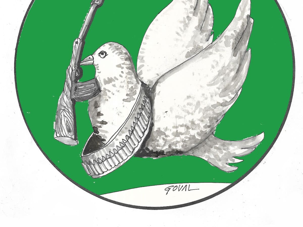 La paloma. Viñeta de Goval para Hoy por Hoy Córdoba