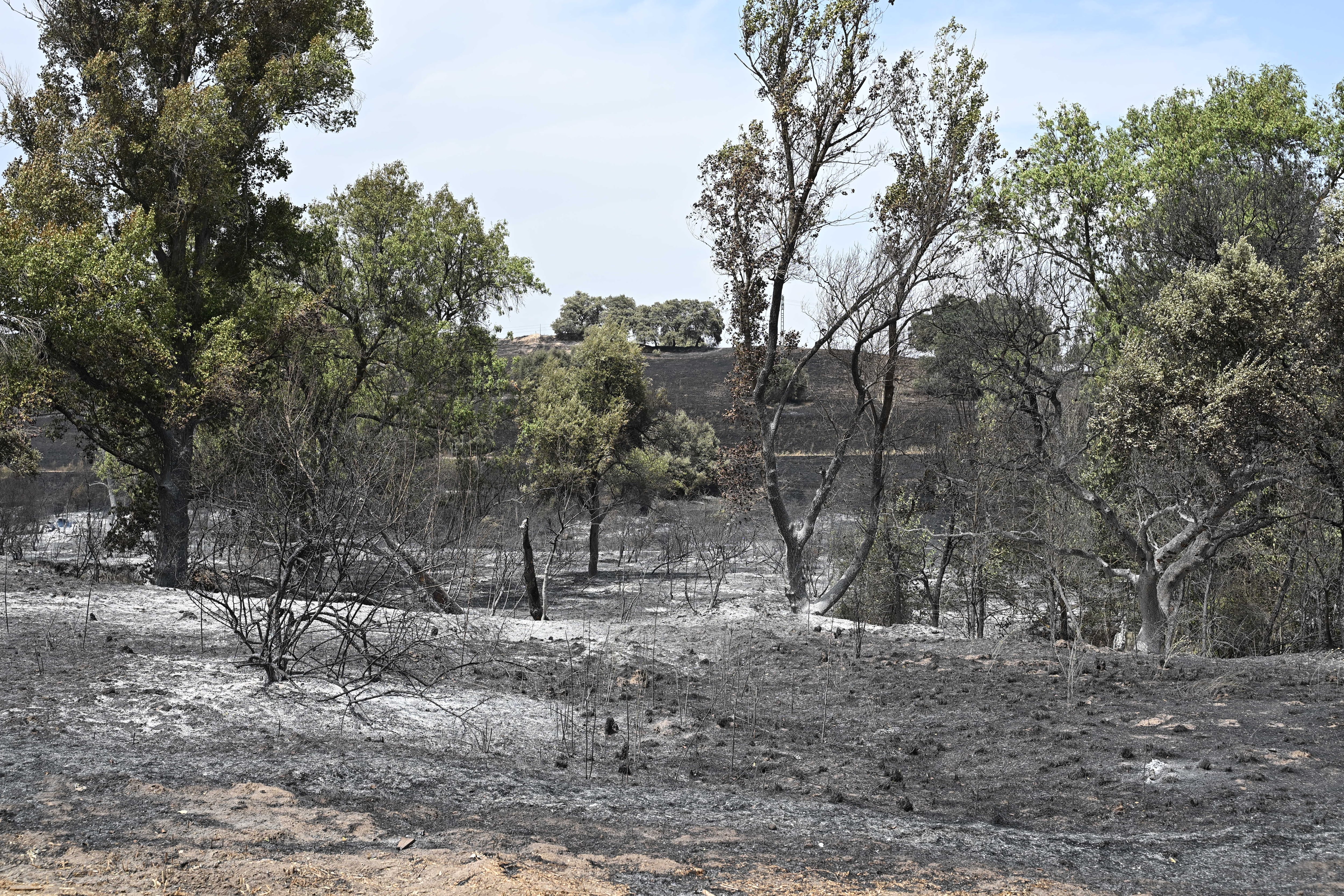 TRES CANTOS (MADRID), 12/08/2025.- Zona calcinada por el incendio que desde ayer afecta a la localidad de Tres Cantos, Madrid, que ya está perimetrado y evoluciona favorablemente. EFE/Fernando Villar
