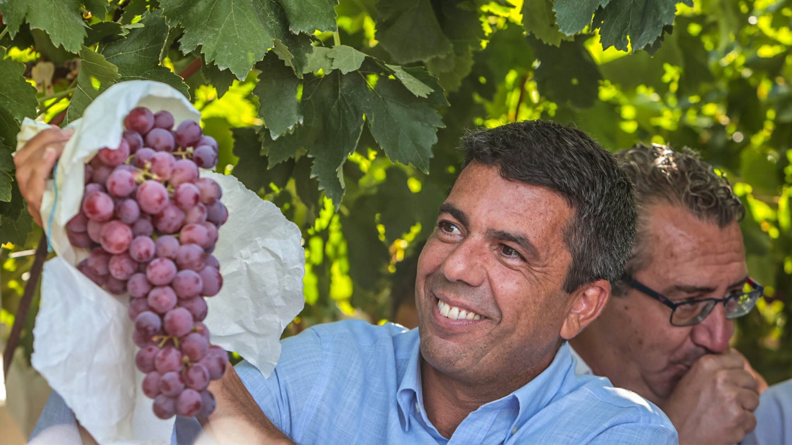 Se ha iniciado oficialmente la campaña de comercialización con buenas expectativas en términos de producción y mercado