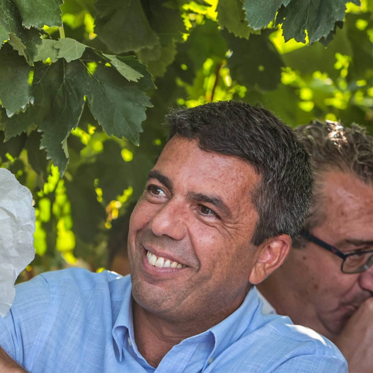 Carlos Mazón corta el primer racimo de la campaña de Uva de Mesa Embolsada del Vinalopó