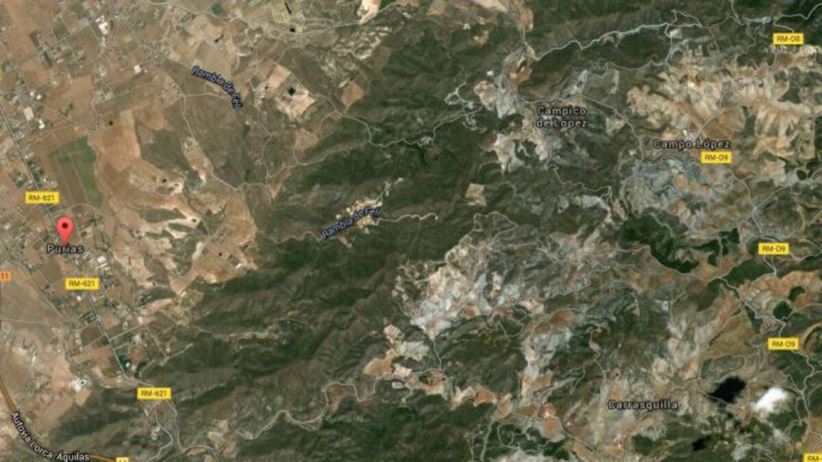 130 animales calcinados en el Cabezo de las Zorras