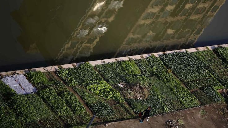 Ana Uslé y Lola Carretero hablan de huertos urbanos en su Guía de estilo