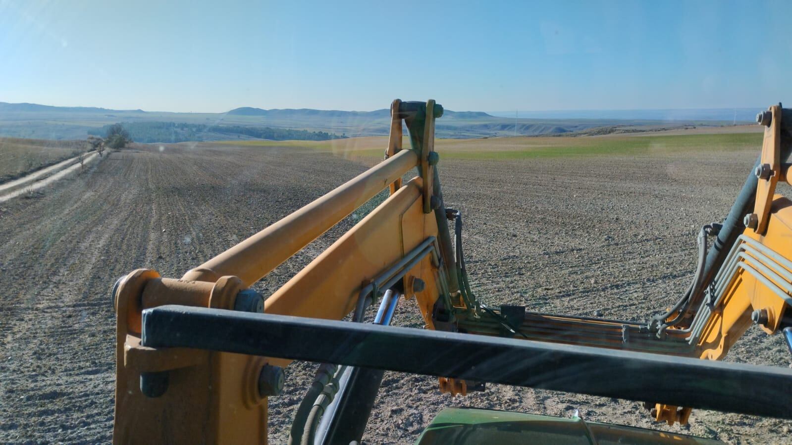 Daños de los conejos en una parcela agrícola de Cuenca. En los espacios donde se ve la tierra debería haber cereal crecido como se ve al fondo de la foto.