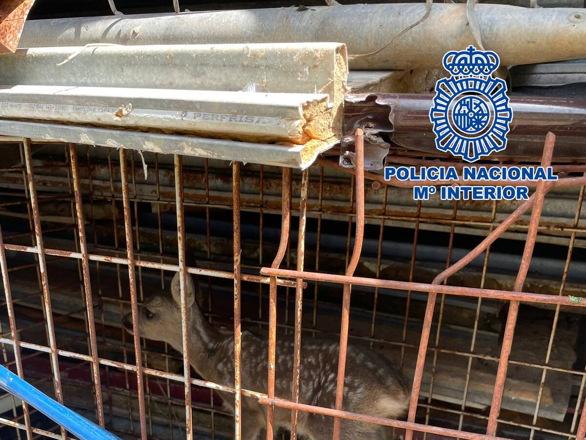 Tres detenidos cuando robaban en un restaurante de Valdenoches