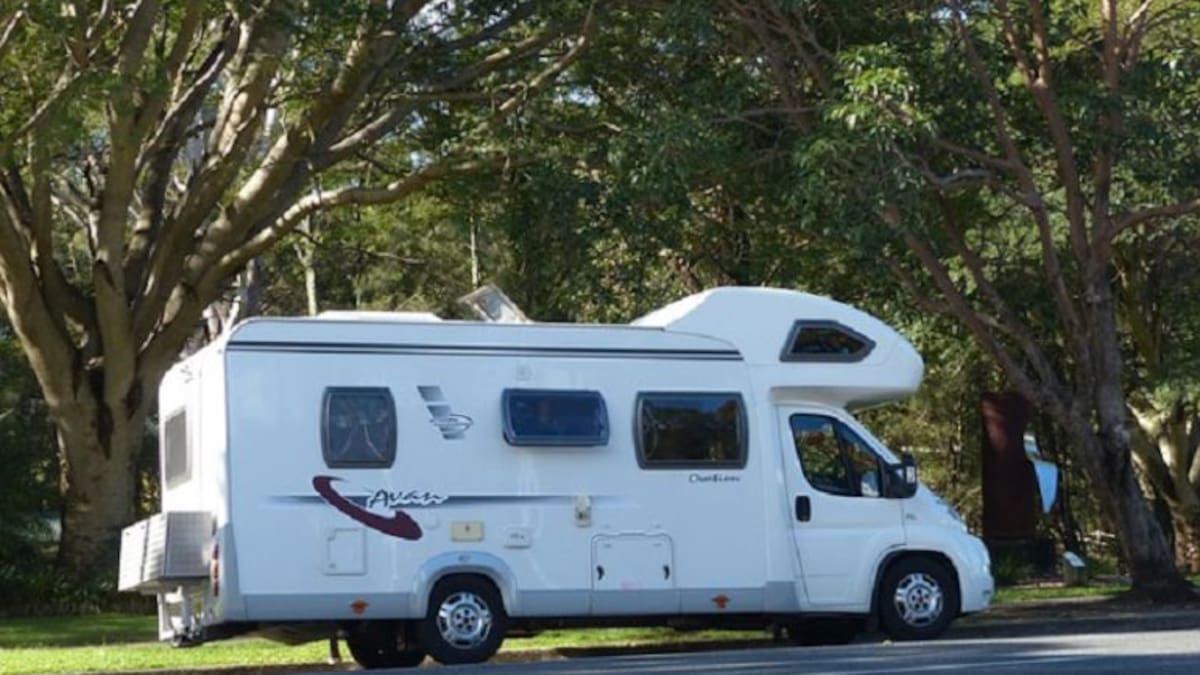 Los cámpines, cada vez más de moda