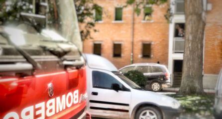 Imagen de la liberación de este domingo