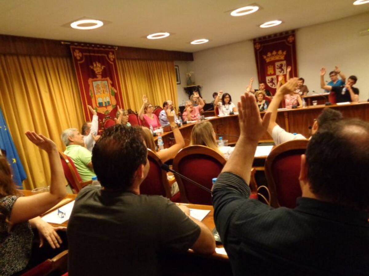 El Pleno reclama el aval por las deficiencias de la feria taurina