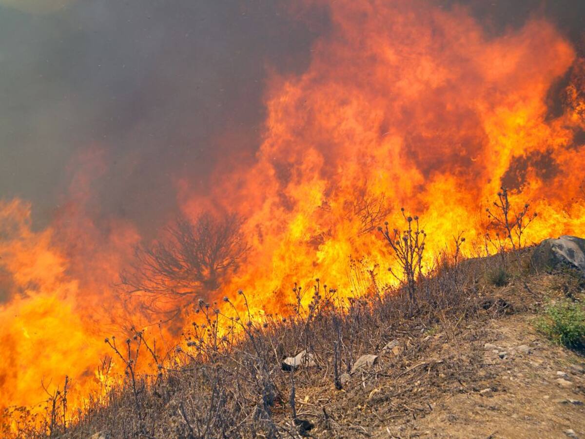 La Junta declara peligro medio de incendios hasta el 6 de junio