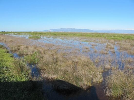 El delta de l&#039;Ebre