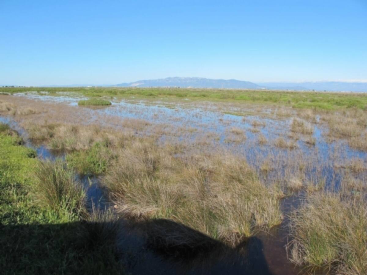 La Diputació de Tarragona també diu no al Pla Hidrològic
