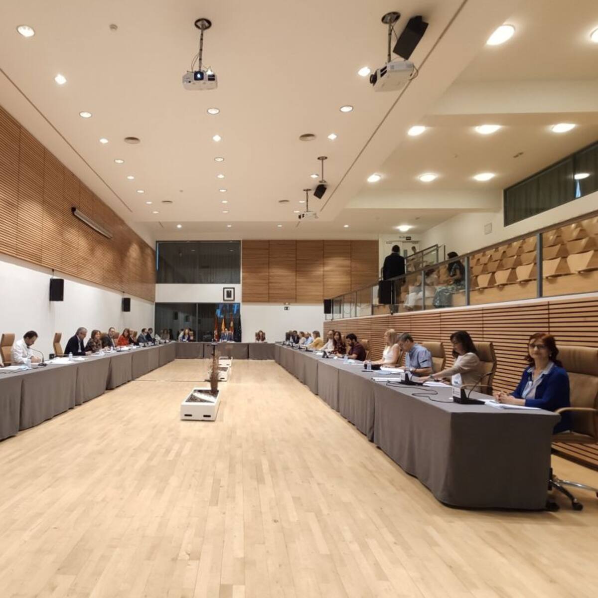 Salamanca pide al Gobierno y a RENFE que restaure "de manera inmediata" las conexiones ferroviarias